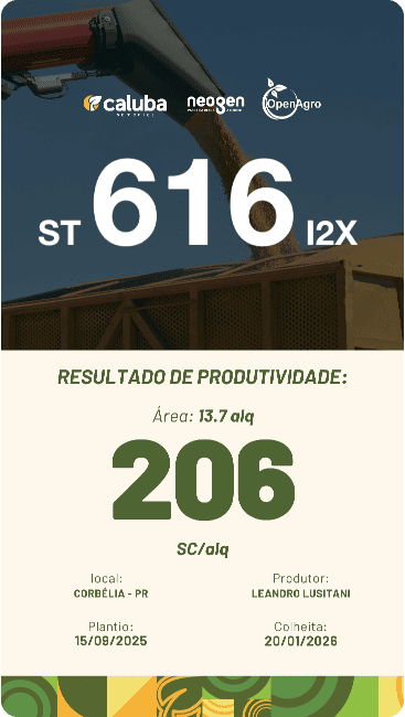 placa2