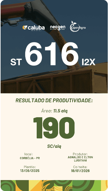placa3